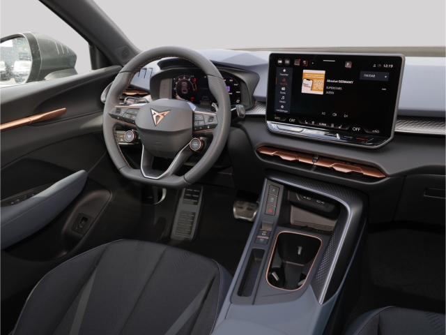 Cupra Terramar 1.5 eTSI DSG Voll-LED Kamera AHK