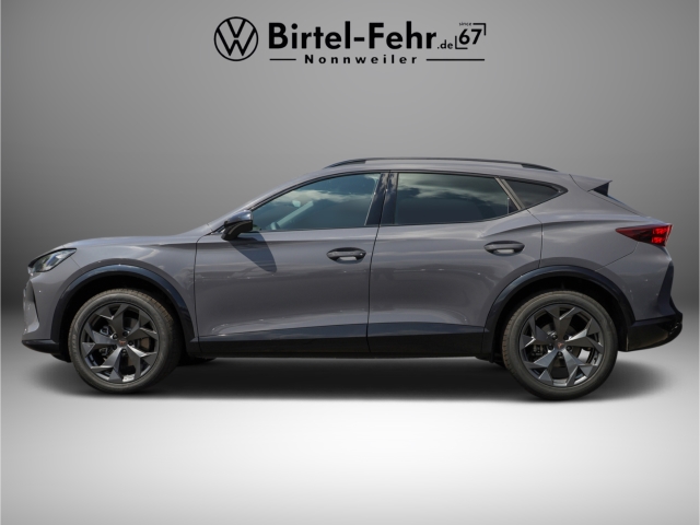 Cupra Formentor 1.5 eTSI DSG Kamera LED Klimaautomatik 3-Zonen