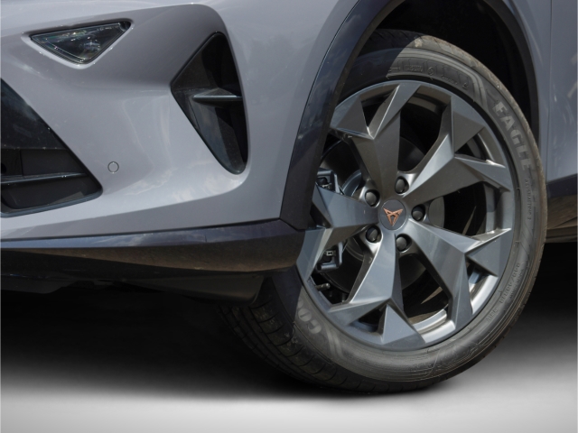 Cupra Formentor 1.5 eTSI DSG Kamera LED Klimaautomatik 3-Zonen
