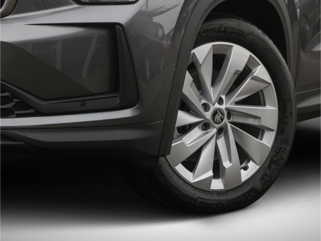 Skoda Kodiaq Selection 2.0 TDI 4x4 DSG 7Sitzer AHK Kamera Navi