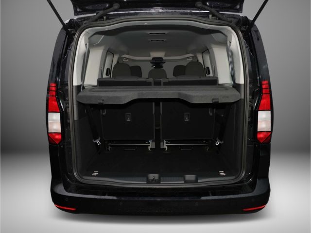 VW Caddy Maxi Life 2.0 TDI DSG 7 Sitzer Kamera KessyGo