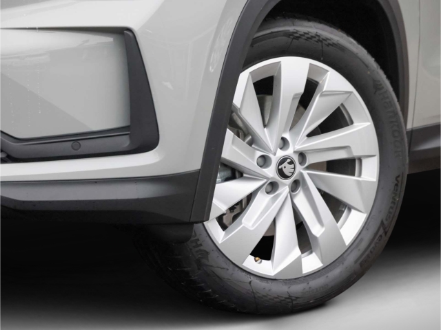 Skoda Kodiaq Selection 2.0 TDI 4x4 DSG LED AHK Kamera