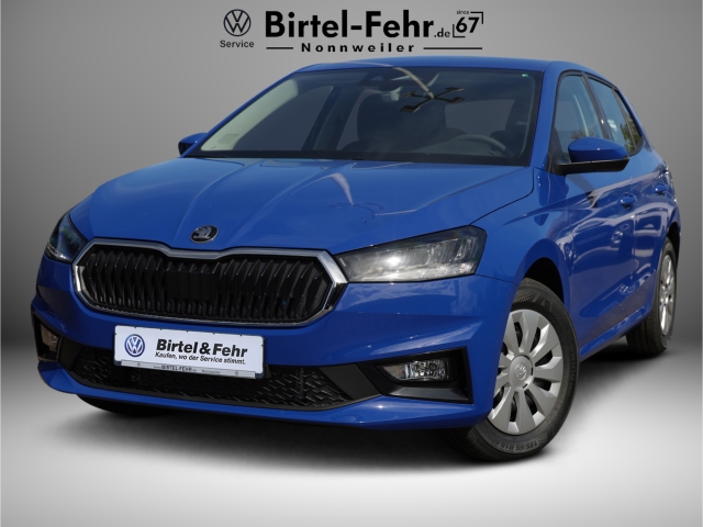 Skoda Fabia Liberty 1.0 TSI 5-Gang LED 5 Jahre Garantie100tkm