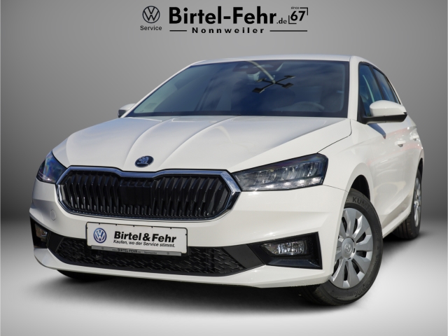 Skoda Fabia Liberty 1.0 TSI 5-Gang LED 3 Jahre Garantie100tkm