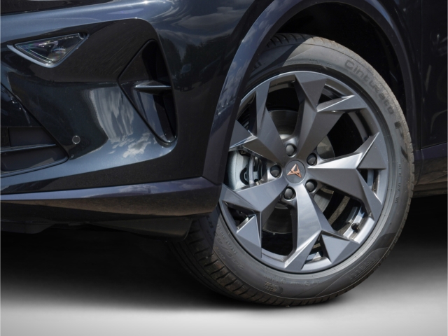Cupra Formentor 1.5 eTSI DSG LED Mehrzonenklimaa.