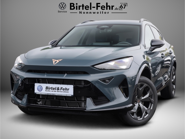 Cupra Formentor 2.0 TSI DSG 4Drive AHK LED Kamera Mehrzonenklimaa.