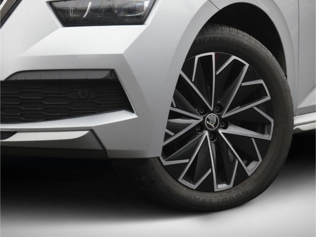 Skoda Kamiq Style 1.6 TDI 6-Gang AHK Kamera LED