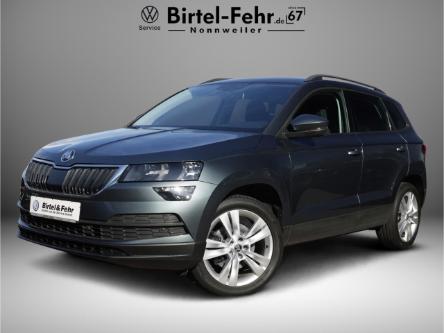Skoda Karoq Style 4x4 AHK LED Canon